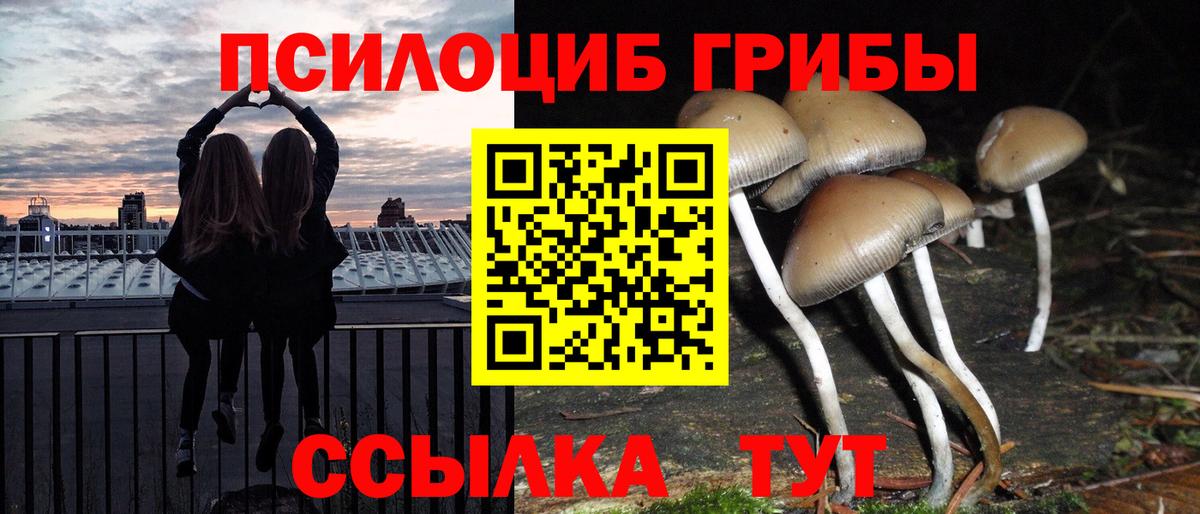 Галлюциногенные грибы Psilocybine cubensis Топки